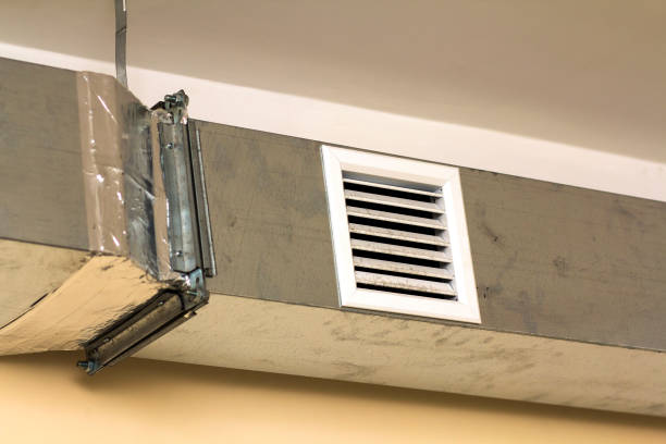 Best Affordable Duct Cleaning Services  in Skidmore, TX